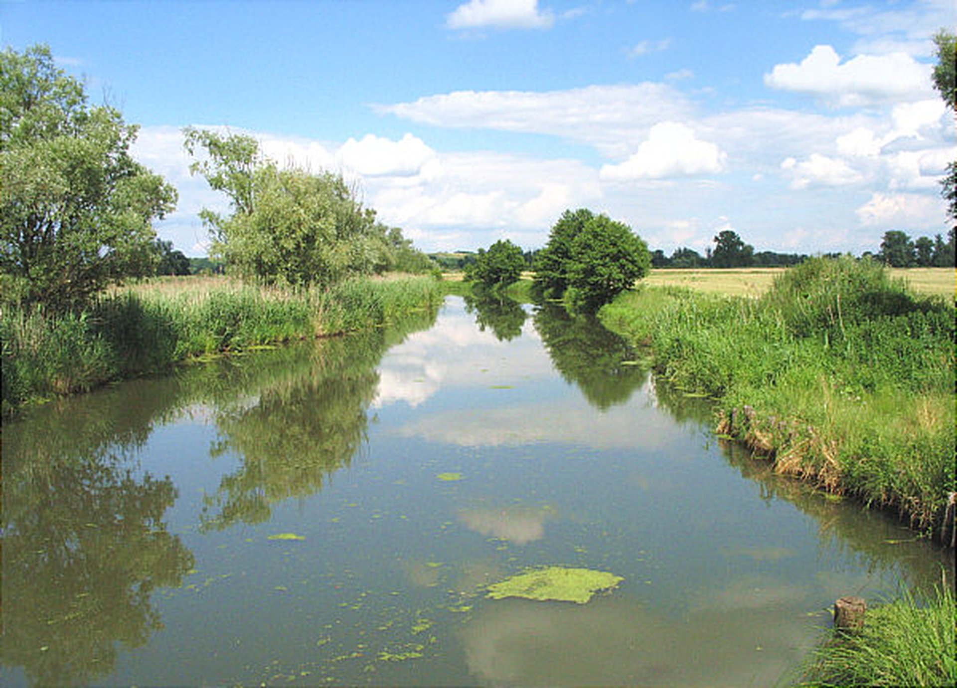 Oderbruch
