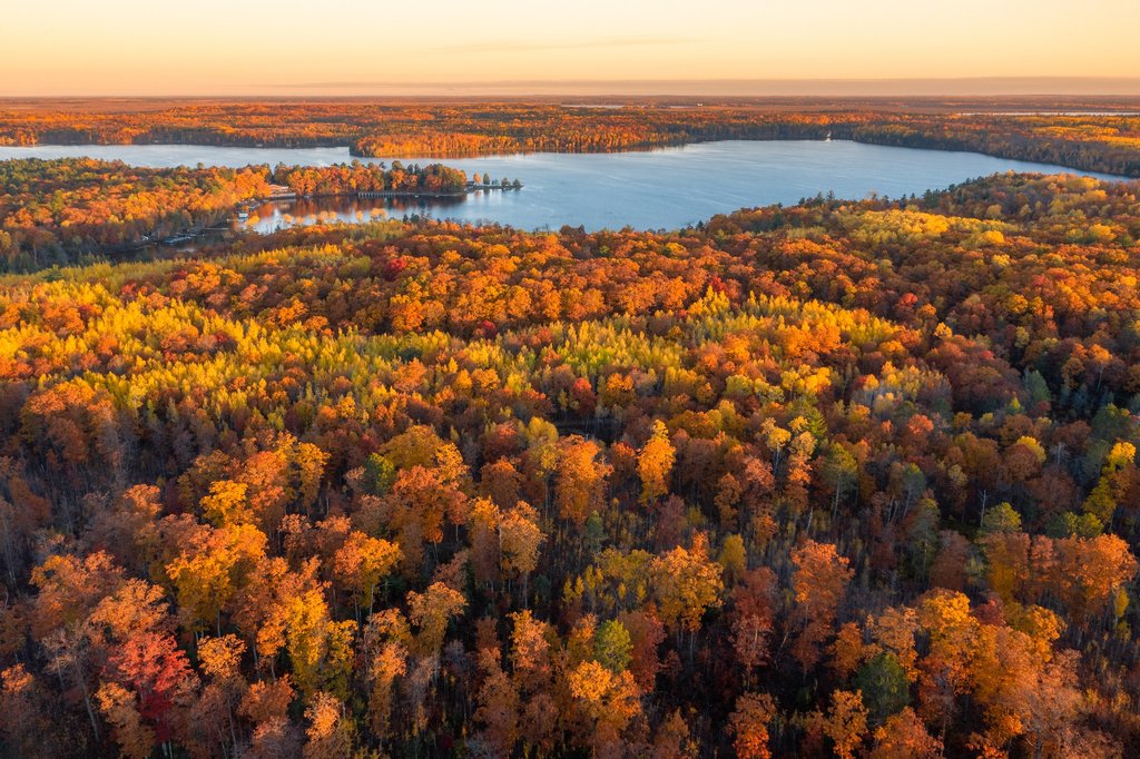 Wohnmobil inmitten bunter Herbstlandschaft Hessens.  Entdecke traumhafte Campingplätze!