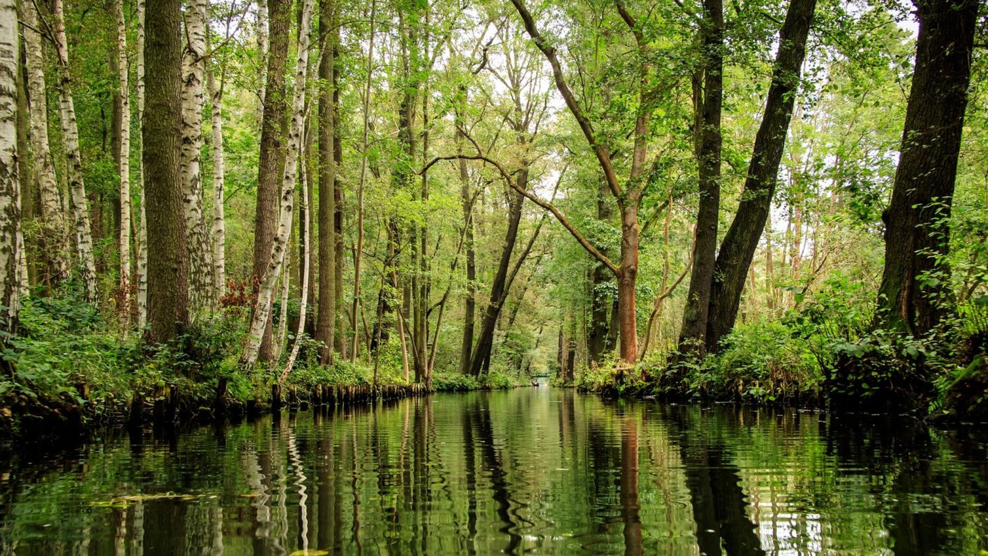 Spreewald Florida in Deutschland