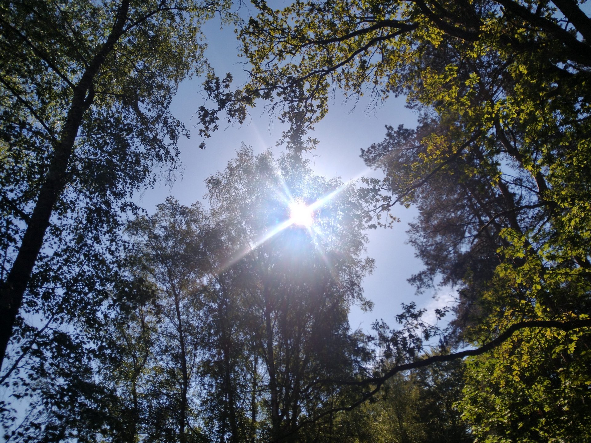 Sonnenstrahlen am Höhenfelder See