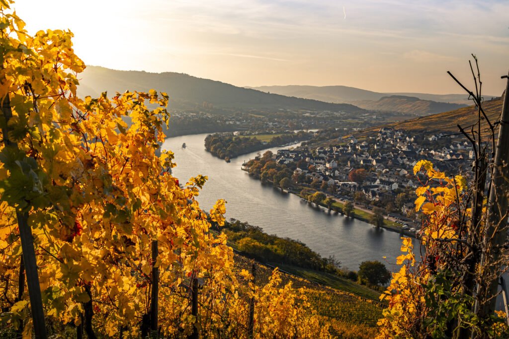 Wohnmobil-Tour Mosel-Rhein: Herbstliche Reise durch Weinberge & entlang des Flusses.
