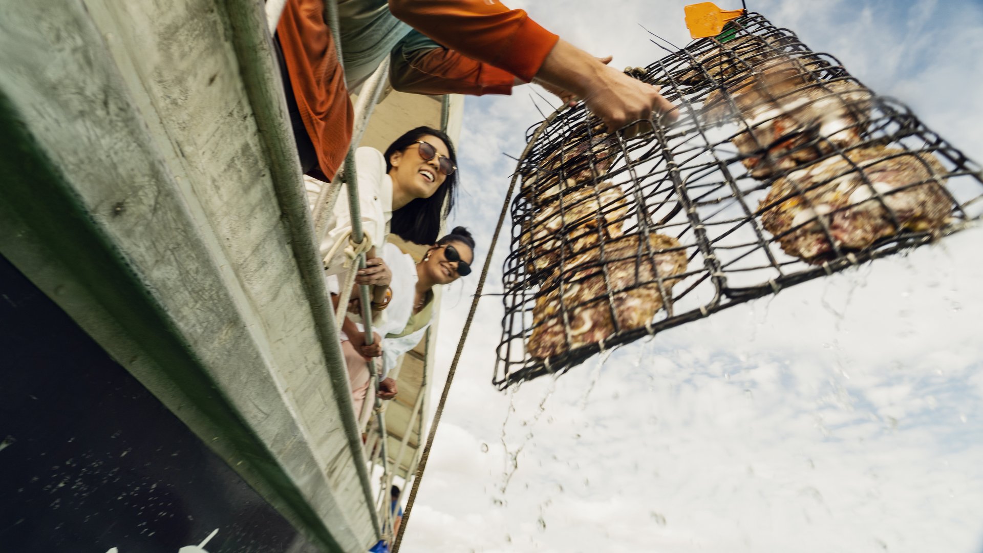 Two people on a boat watching a crew member lift a water-dripping metal cage of oysters from the sea.