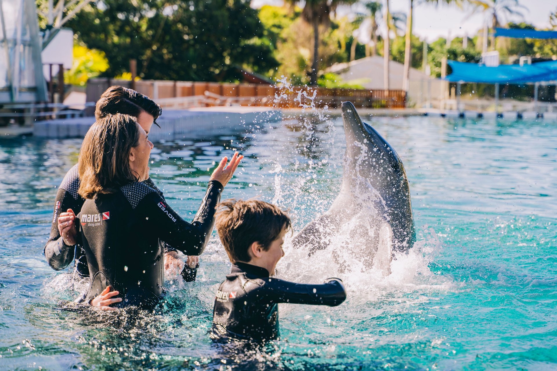 People in wetsuits in a turquoise pool interacting with a dolphin as it leaps up, sending water splashing around them.