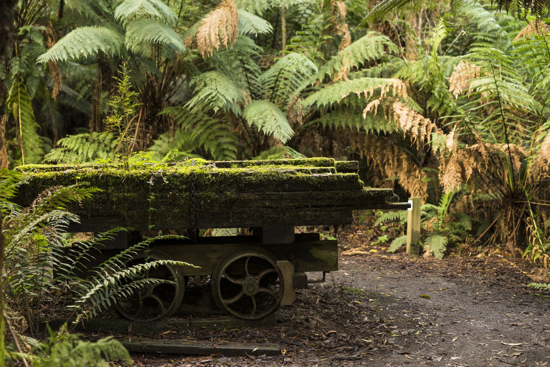 Great Otway National Park