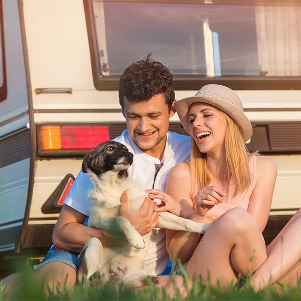 Dog relaxing outside a tent at a bush campsite, enjoying a camping holiday.