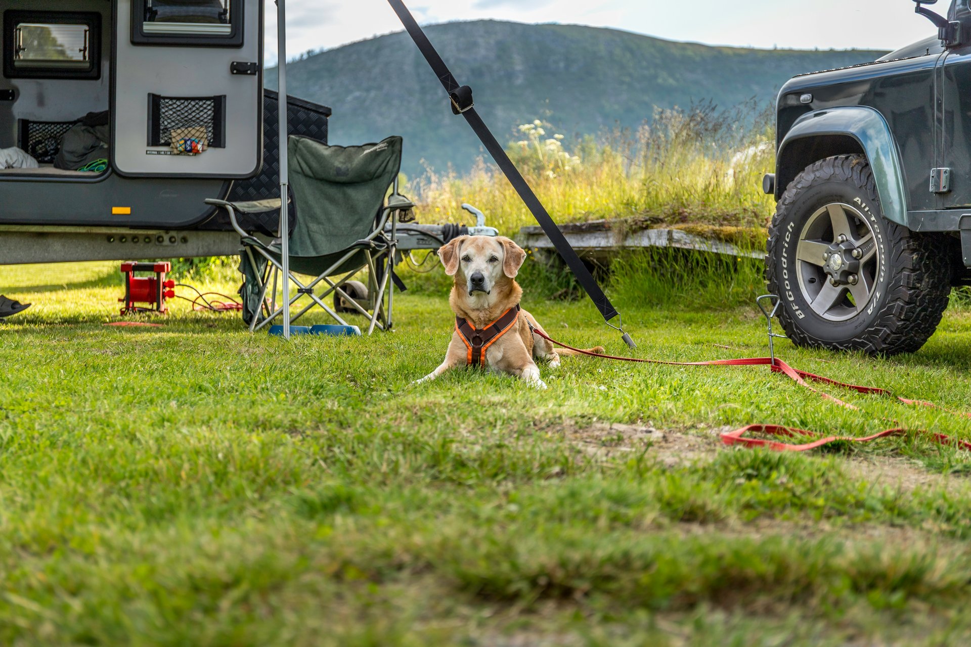 Every campsite/caravan park is a new playground