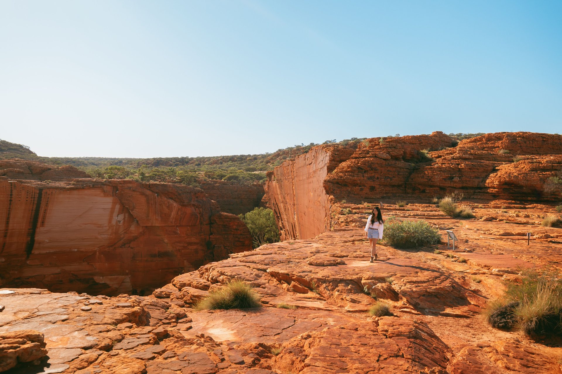 Person standing on sunlit red-rock plateau overlooking a deep canyon and layered sandstone cliffs under a clear blue sky.
