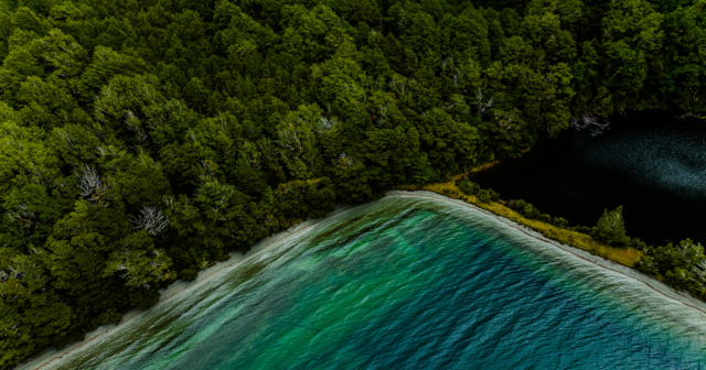 Aerial view of a lush green forest bordering a clear turquoise lake, with a small dark pond nestled among the trees.
