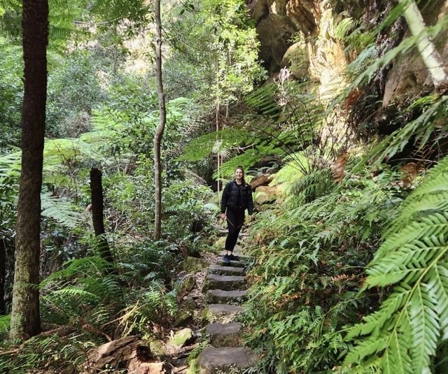 A person walks on a stone path through a lush forest with ferns and trees, surrounded by dense greenery and rocky cliffs.