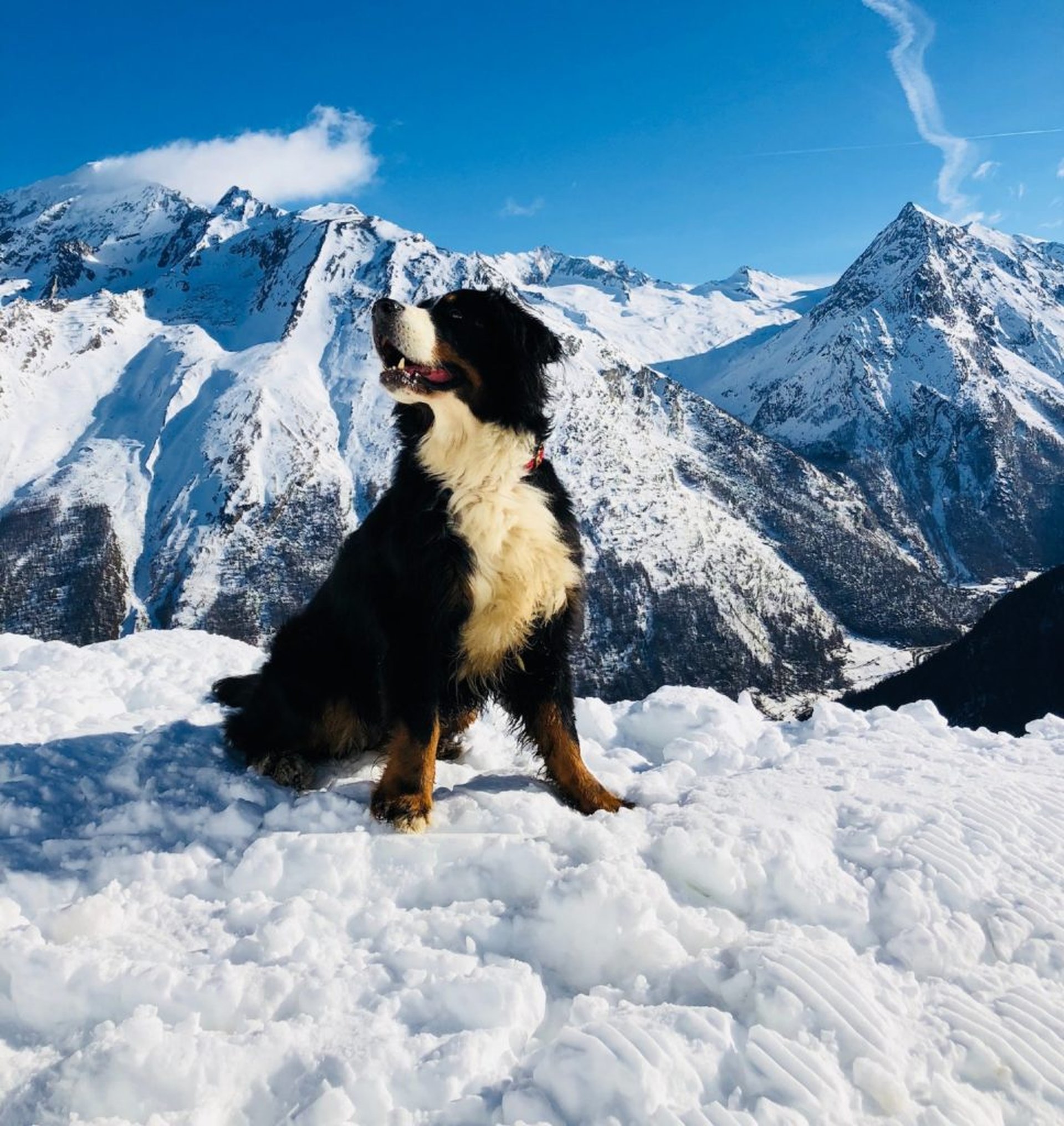 Die besten Orte für Skiurlaub in der Schweiz