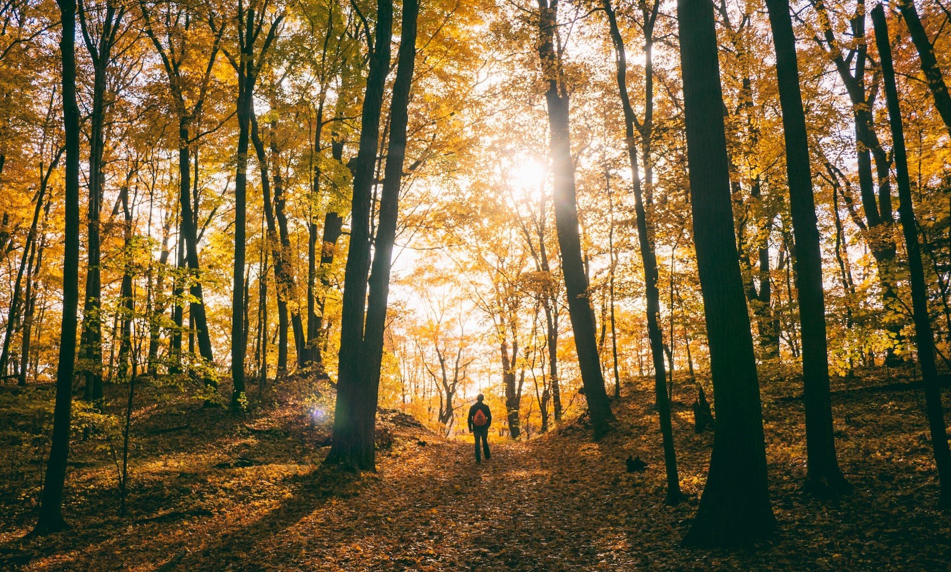 Herbstliche Camping-Szene mit Wohnmobil und Wanderern in malerischer Natur. Perfekt für Deine Reise-Inspiration!