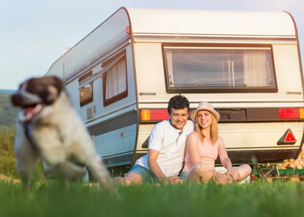 The Complete Guide to Van Life with Dogs: The Ultimate UK Pet Guide