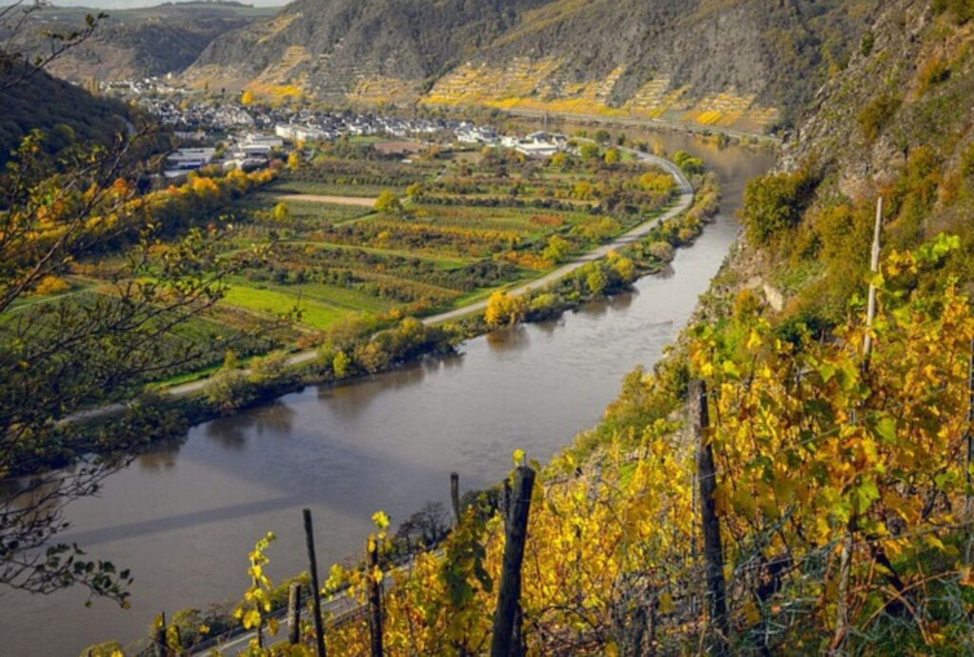 Deine Reisetipps für das Camping an der Mosel mit Hund im Herbst