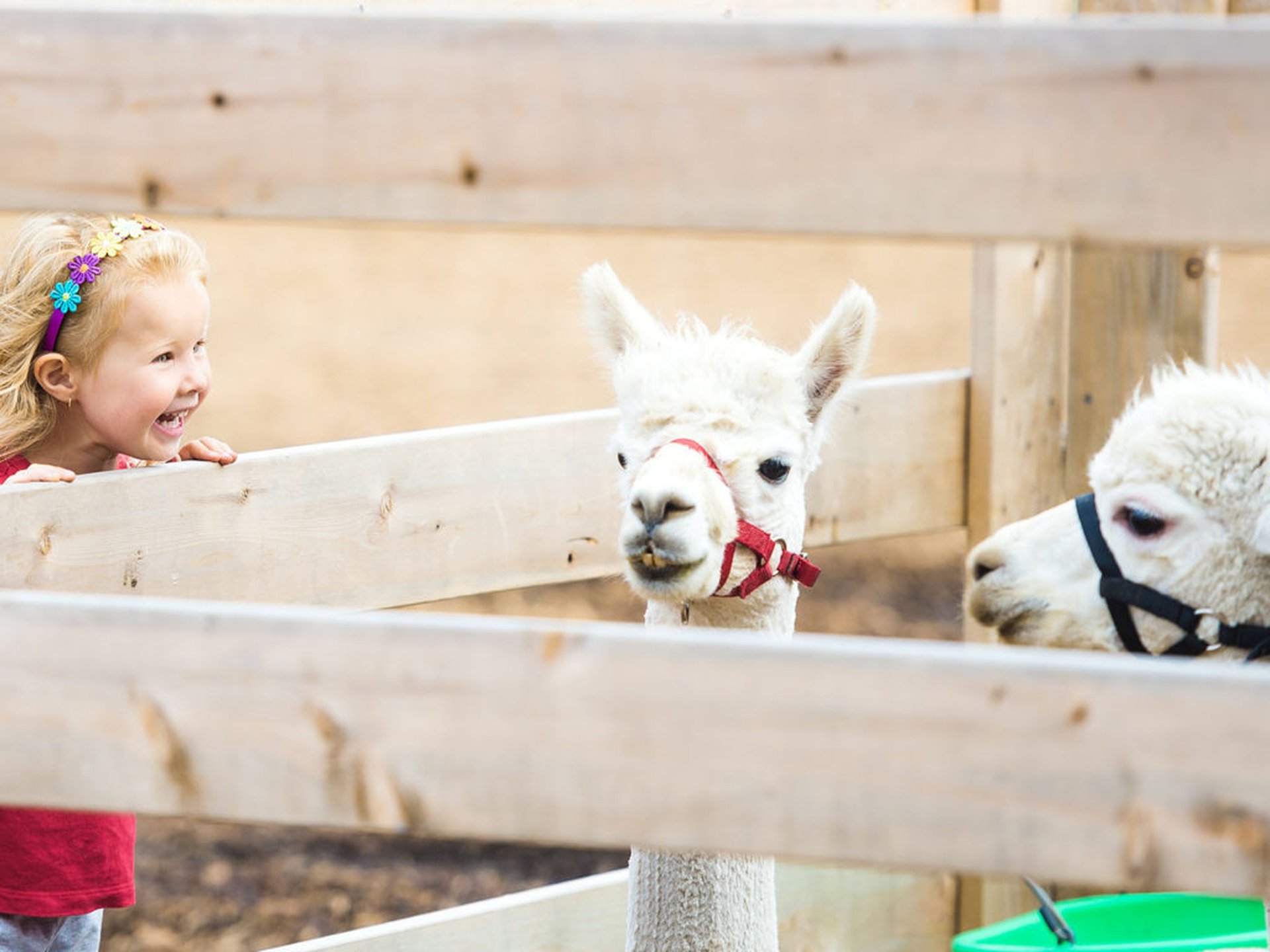 Urlaub an Ostern mit Kindern