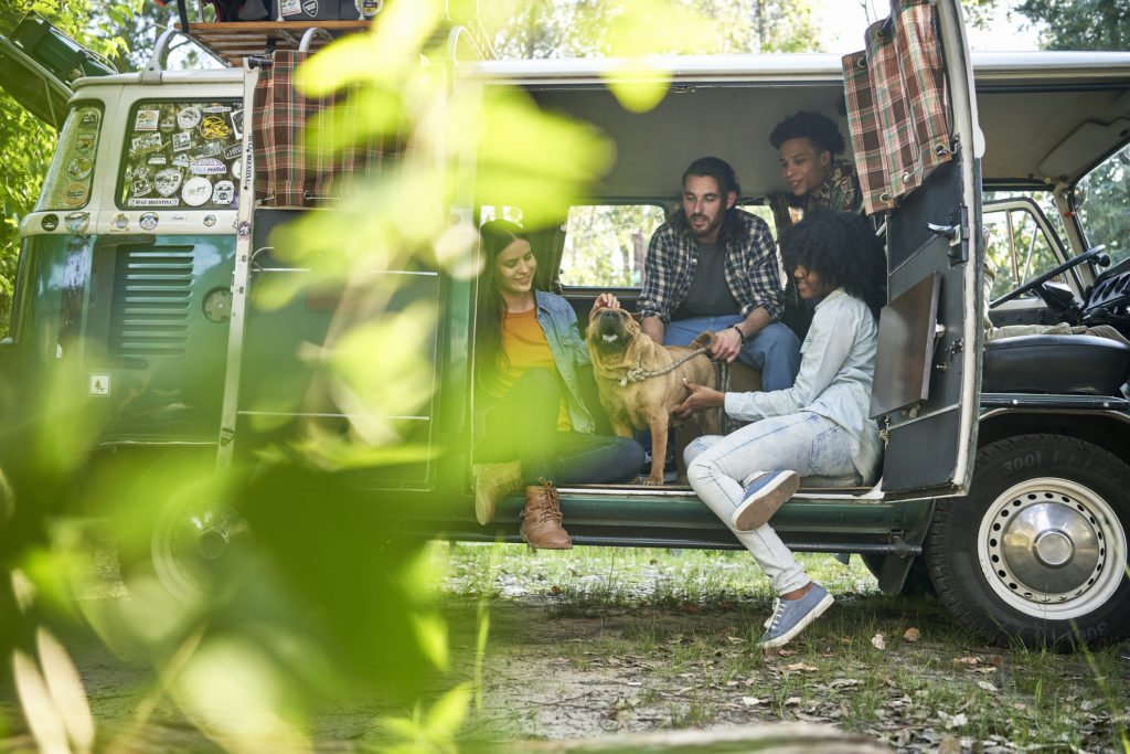 Wohnmobil auf einem sonnigen Stellplatz: Perfekt für Deinen entspannten Urlaub mit Hund in Deutschland!