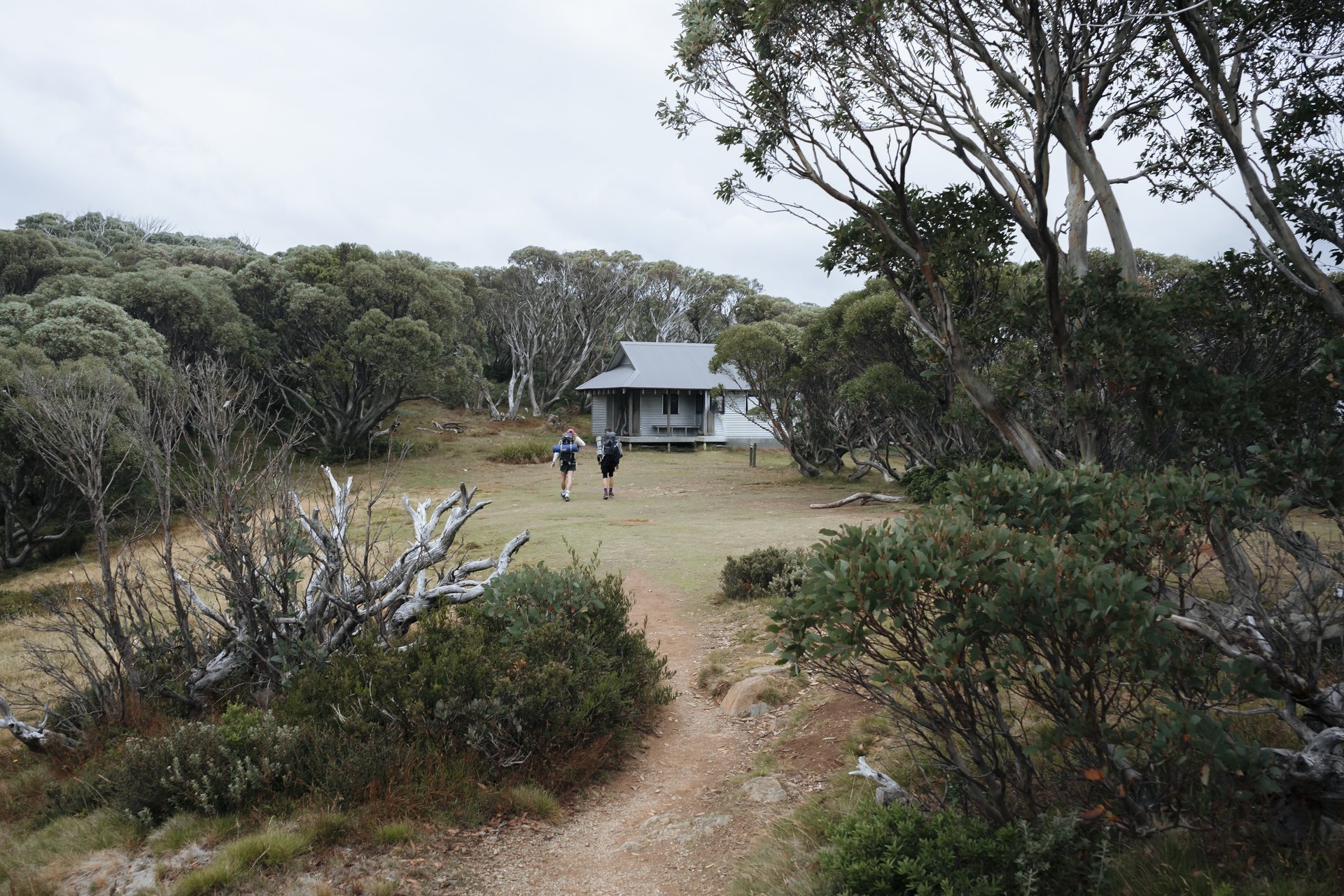 Victorian High Country
