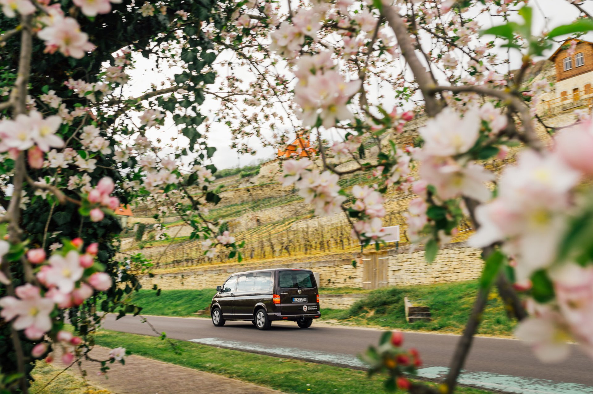 Dein Camper-Roadtrip durch Deutschlands Kirschblütenpracht 2025! 🌸