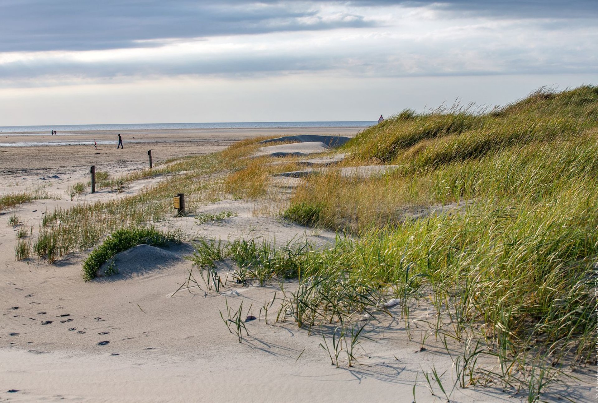 Campingplätze Schleswig-Holstein St. Peter-Ording