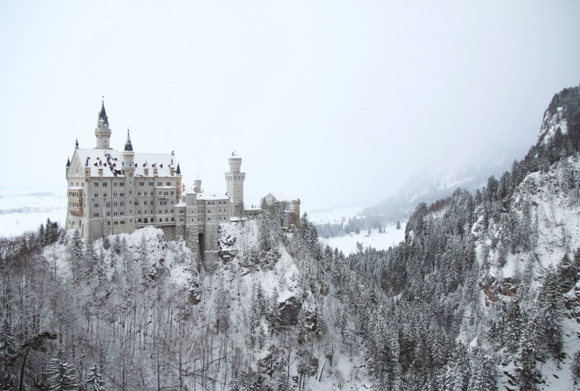 Winterurlaub mit Hund – Reiseziele, Campingplätze und Hundeloipen