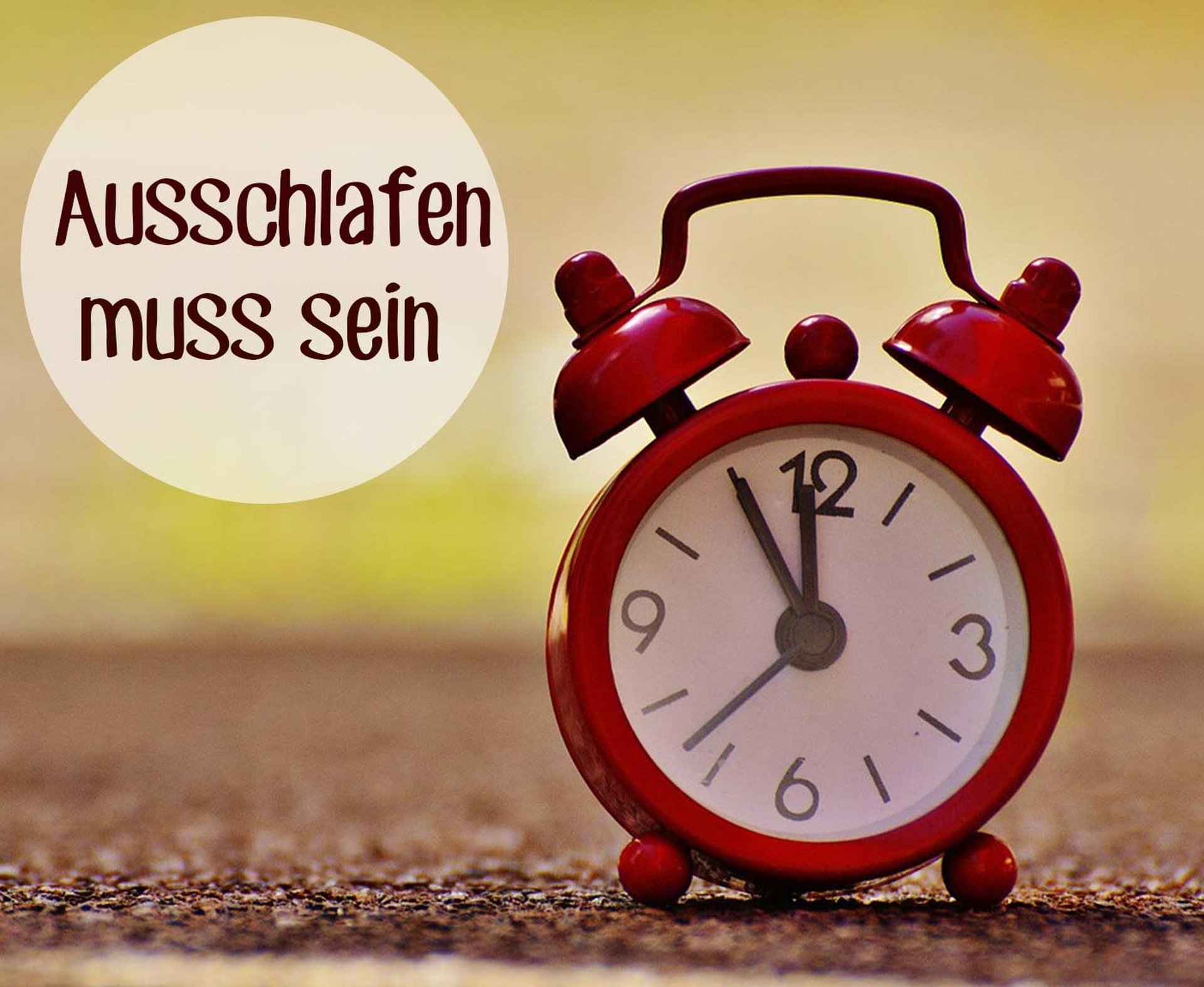 Ohne Wecker aufstehen - Wohnmobil mieten