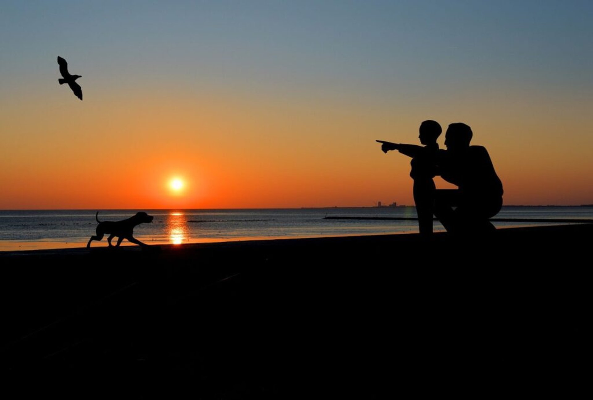 Deine Reisetipps für den Nordsee-Urlaub mit Hund