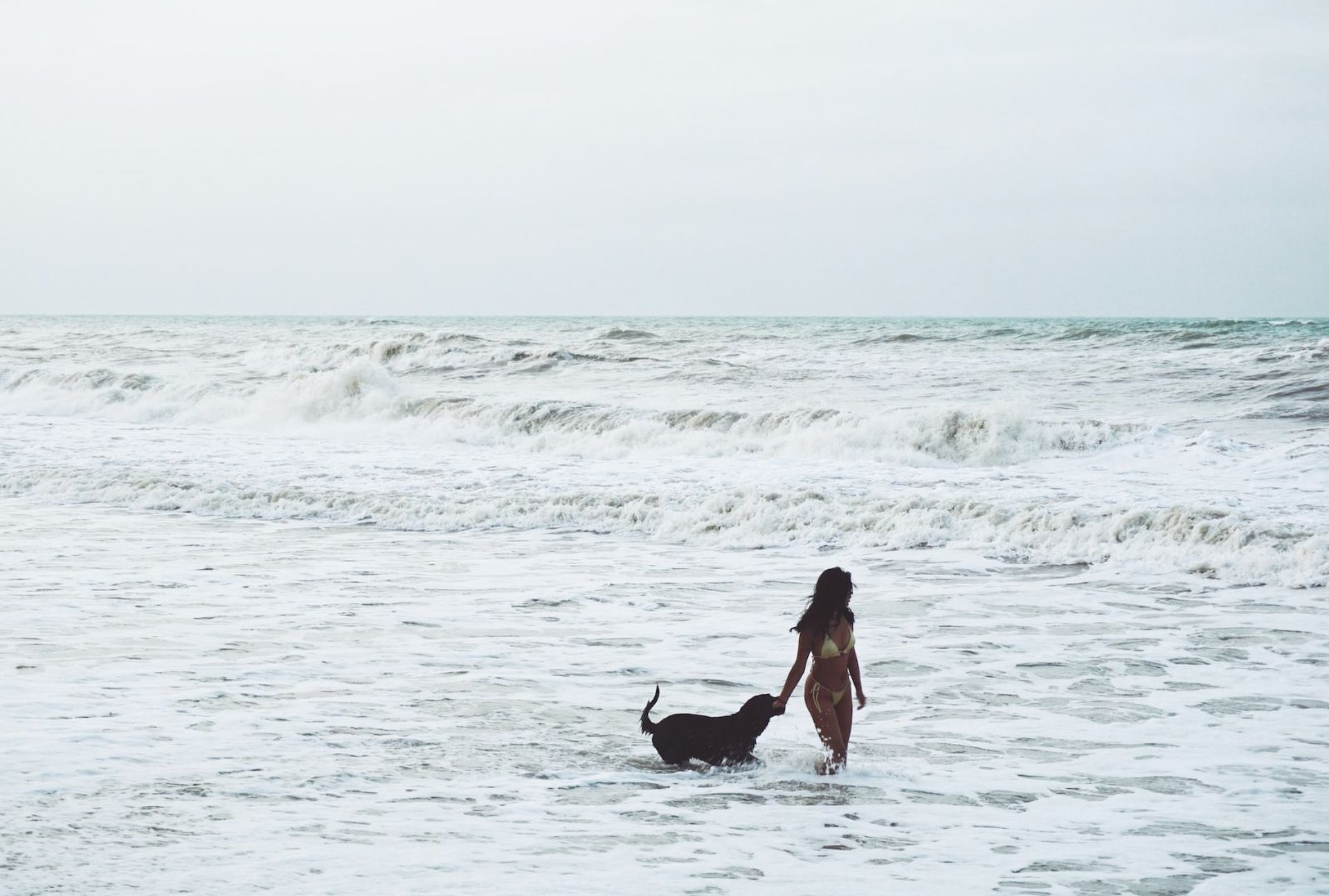 Wandern mit Hund Hundestrand Meer baden