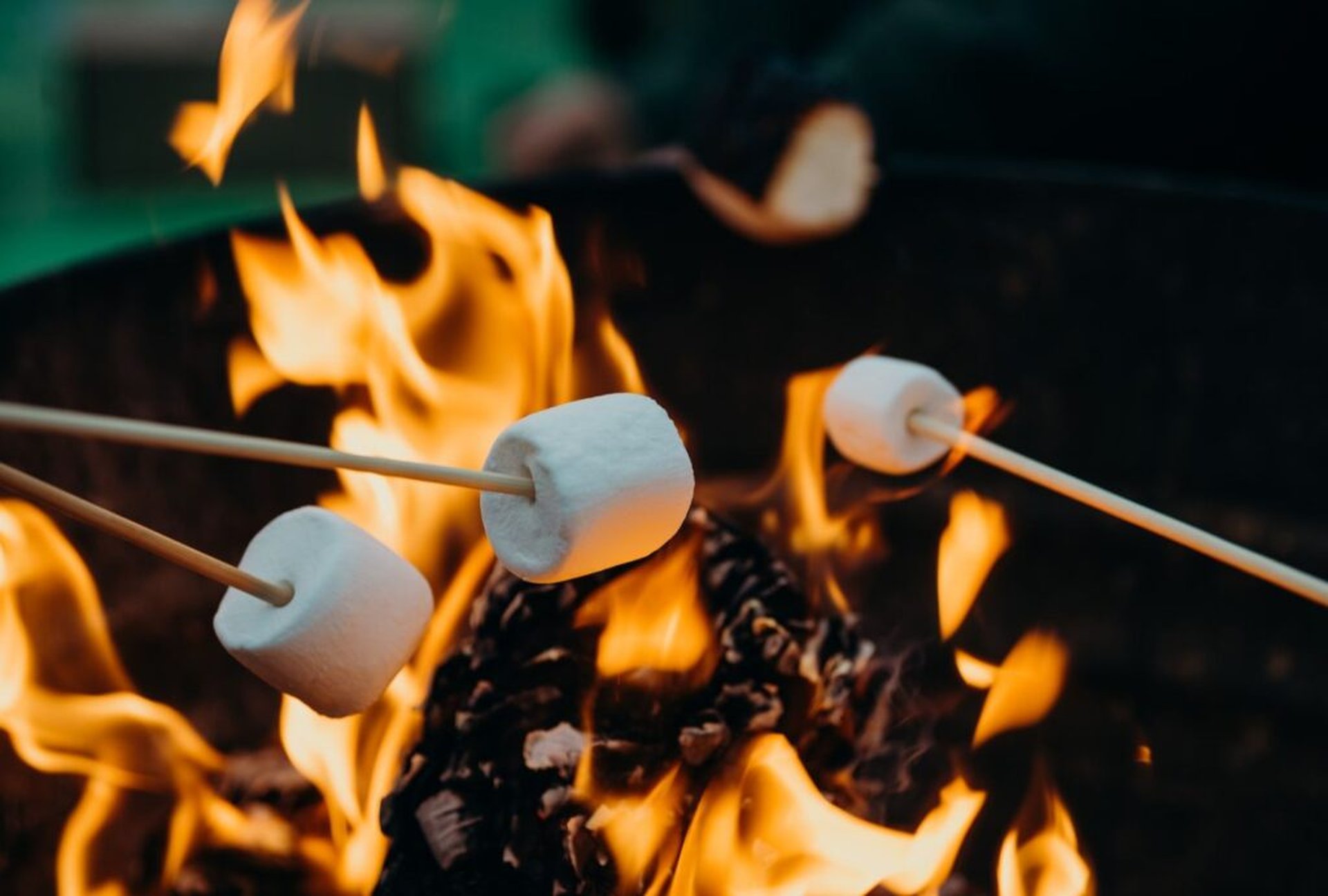 Camping Gardameer: Reistips voor jouw vakantie aan het Gardameer