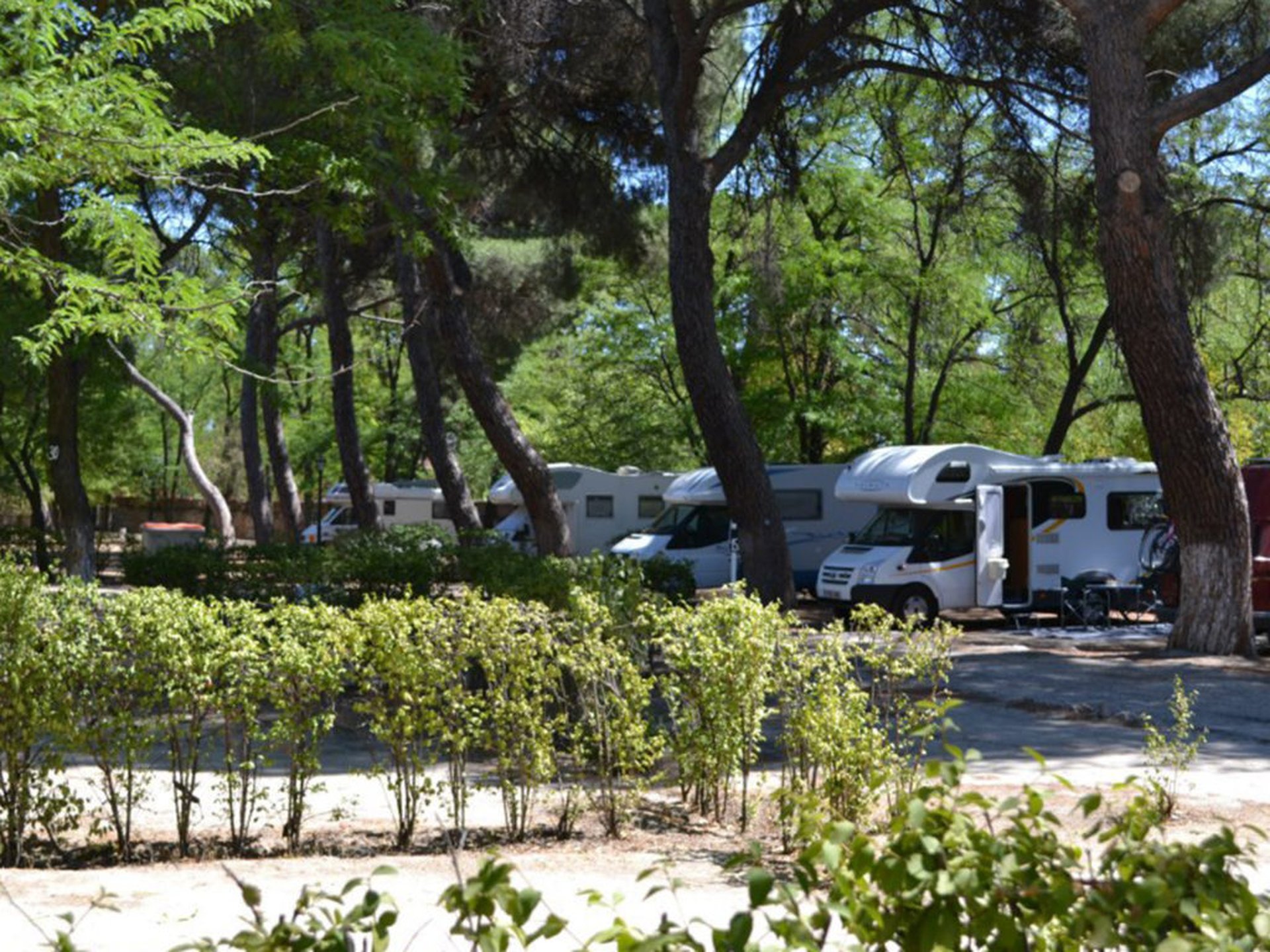 Champions League Finale 2019 Camping Osuna Madrid