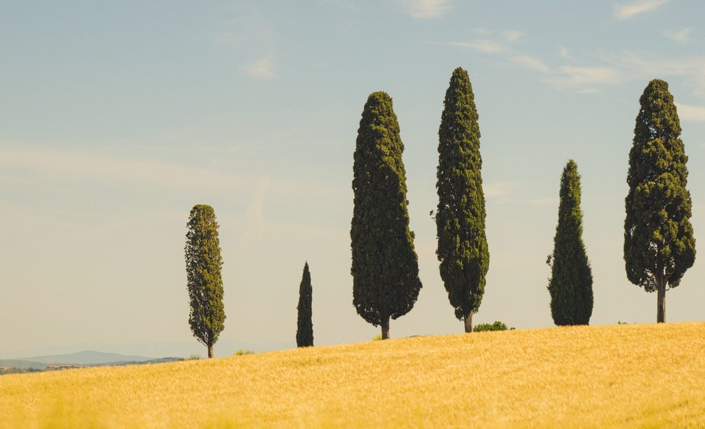 Toskanischer Herbsturlaub: Dein Wohnmobil auf einem idyllischen Campingplatz.