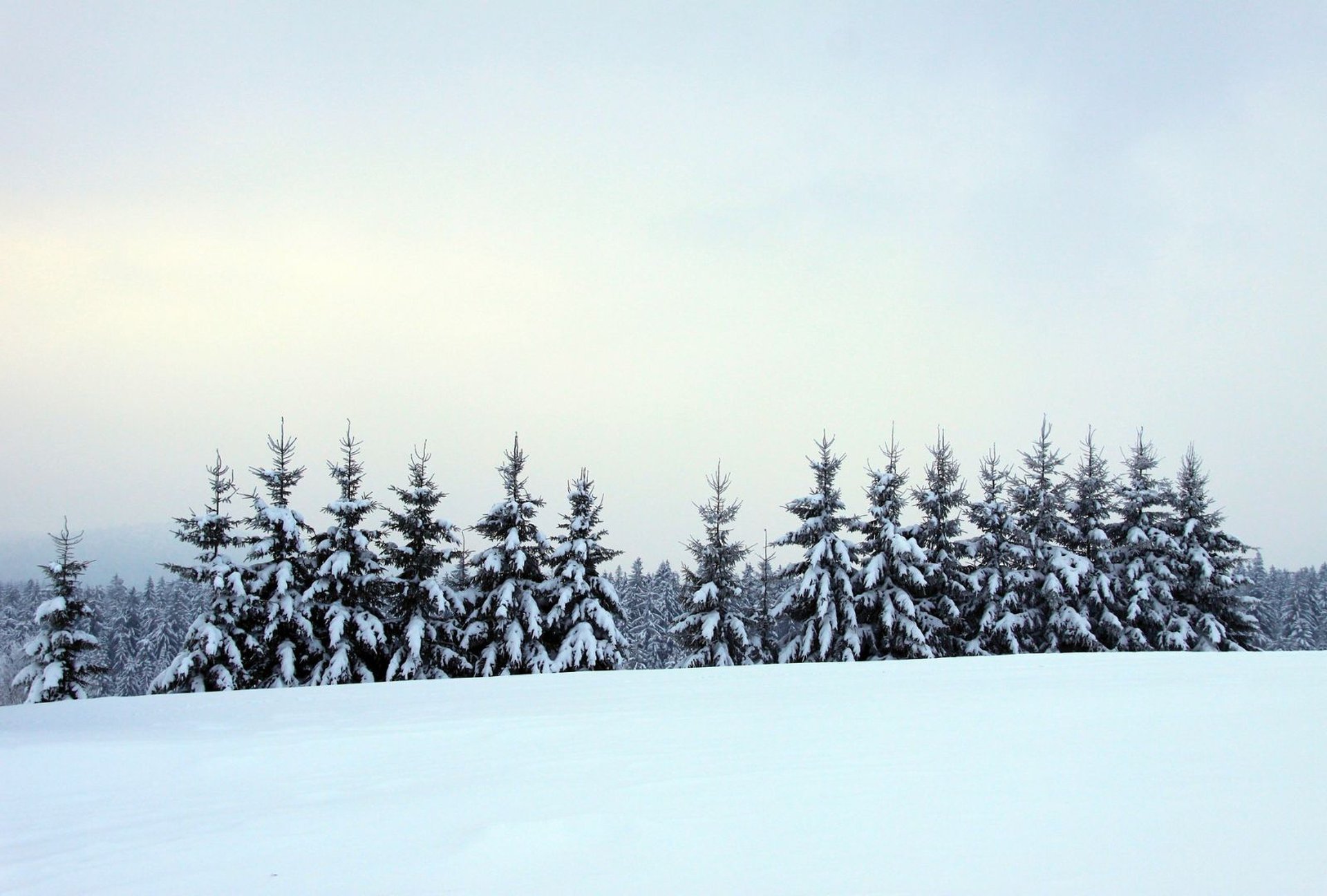 Bayerischer Wald im Winter