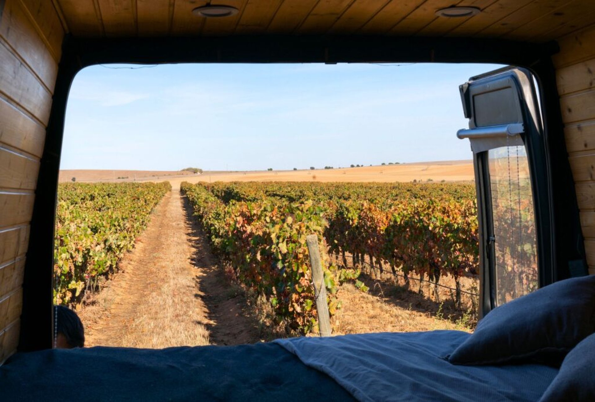 Weingut mit Wohnmobilstellplatz – Gourmettour für Camper