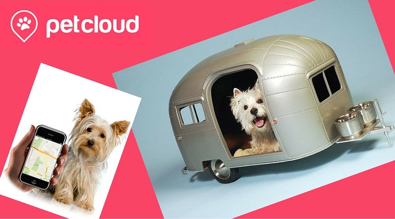 Happy campers and doggo chillin' outside their caravan at a bush campsite.