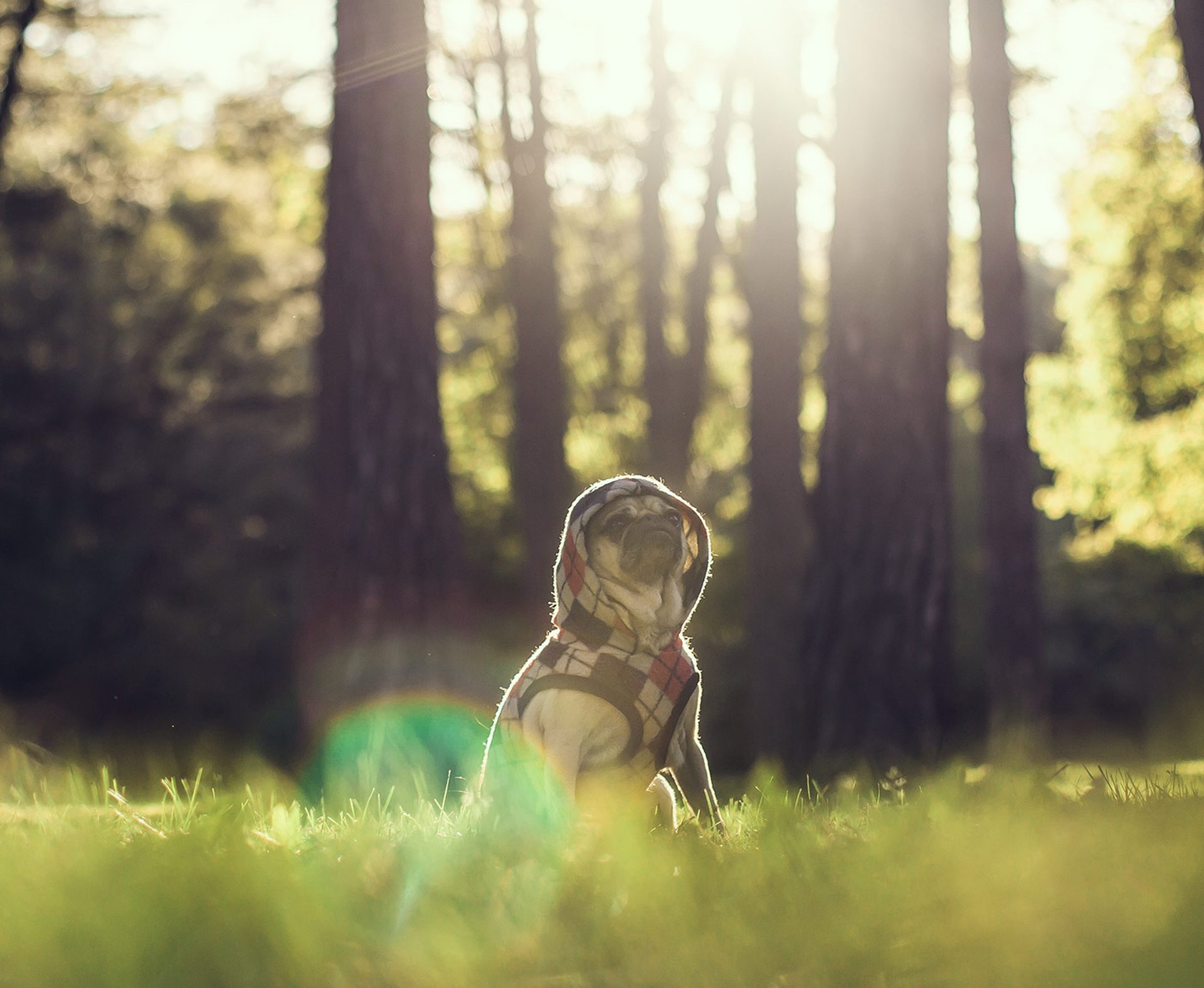 Camper inventarislijst - de basisuitrusting voor je camper!