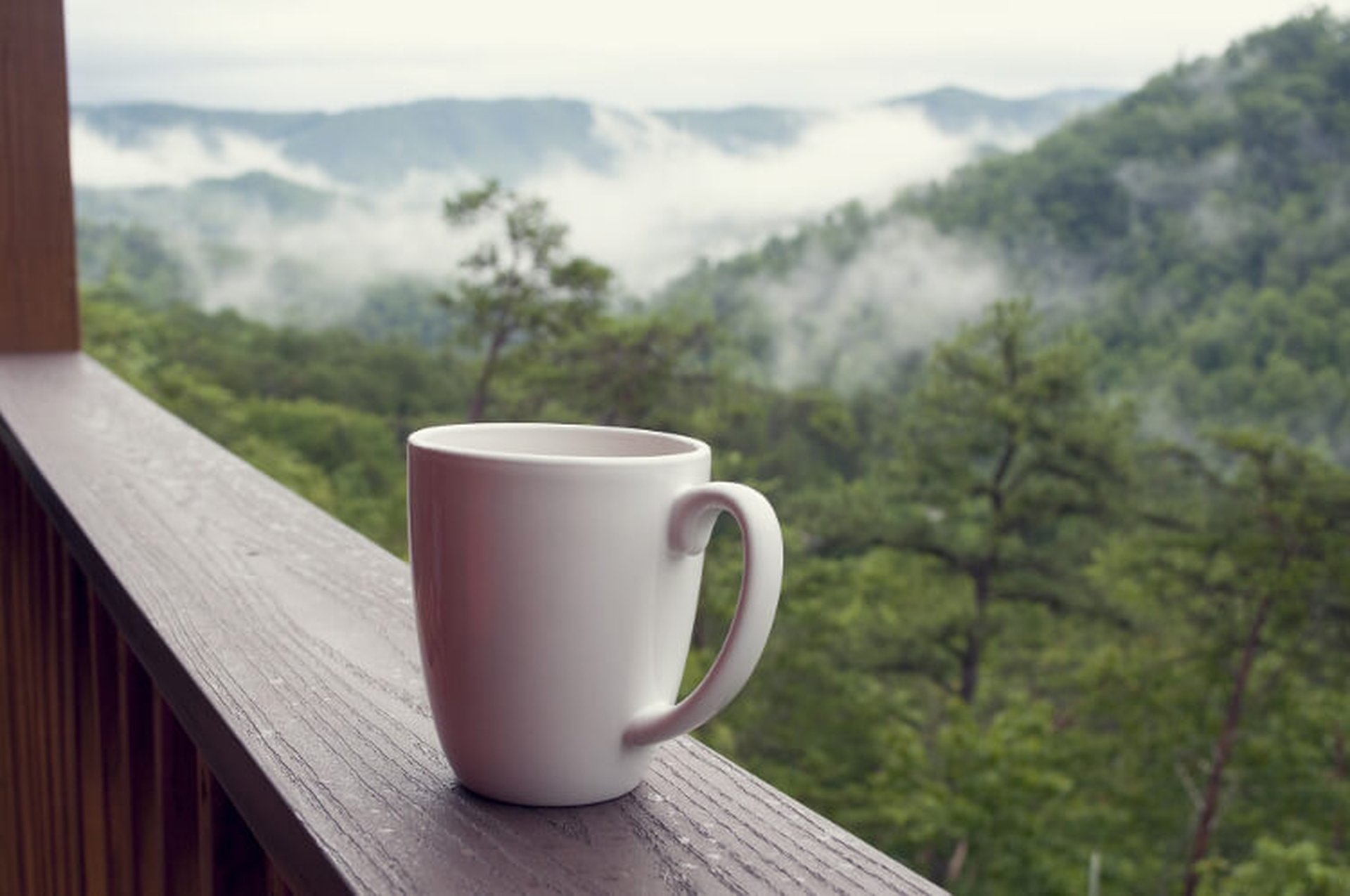 Porzellan Tasse auf Veranda mit Aussicht Wald und Berg