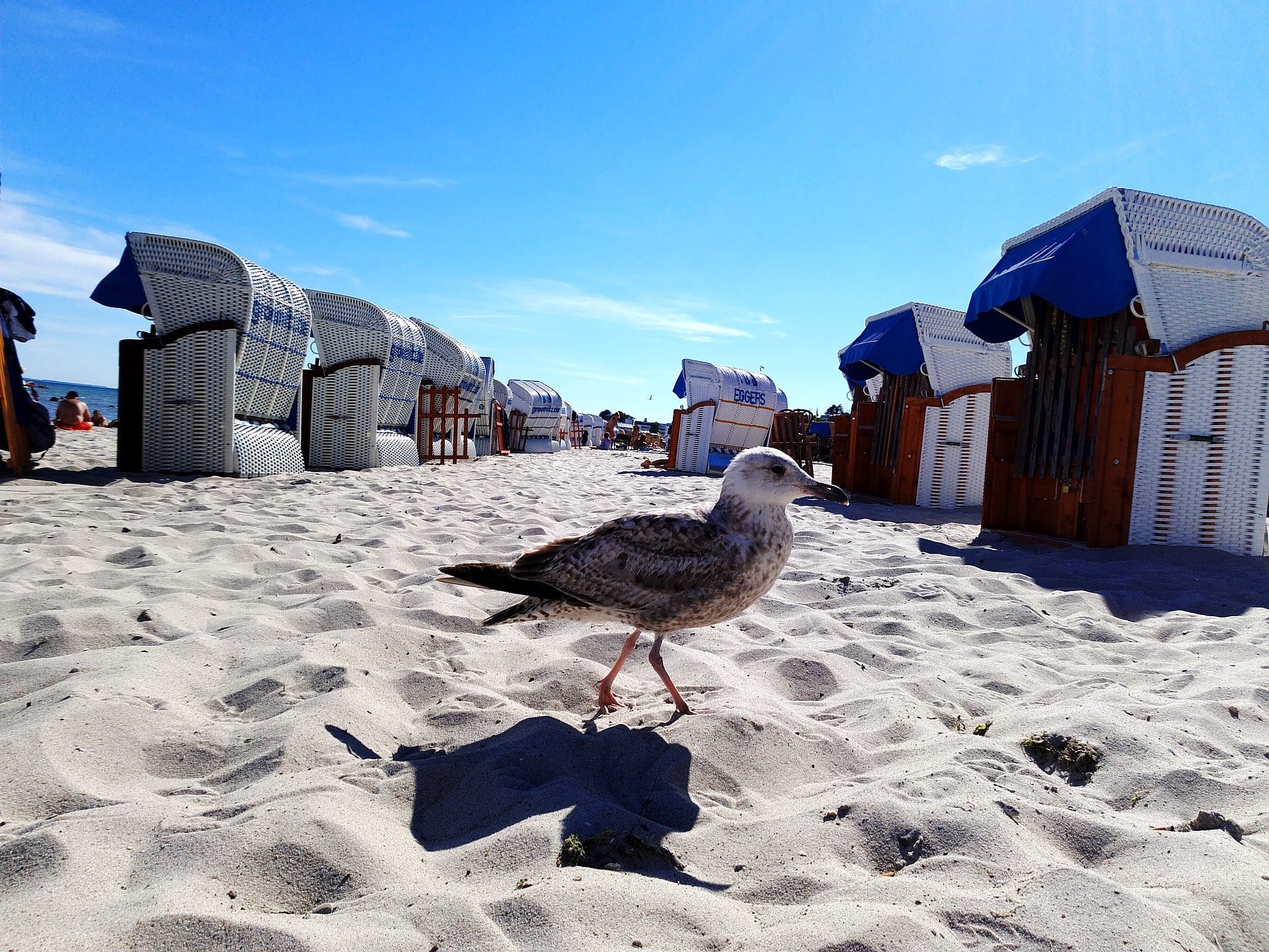 Wohnmobilstellplatz Grömitz Ostsee - Miete einen Camper bei PaulCamper