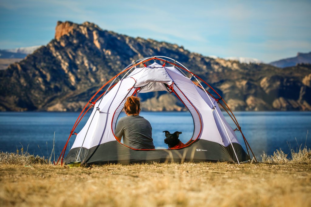 Perro asomándose por ventana de furgoneta camper en la naturaleza. Viajar con mascotas.