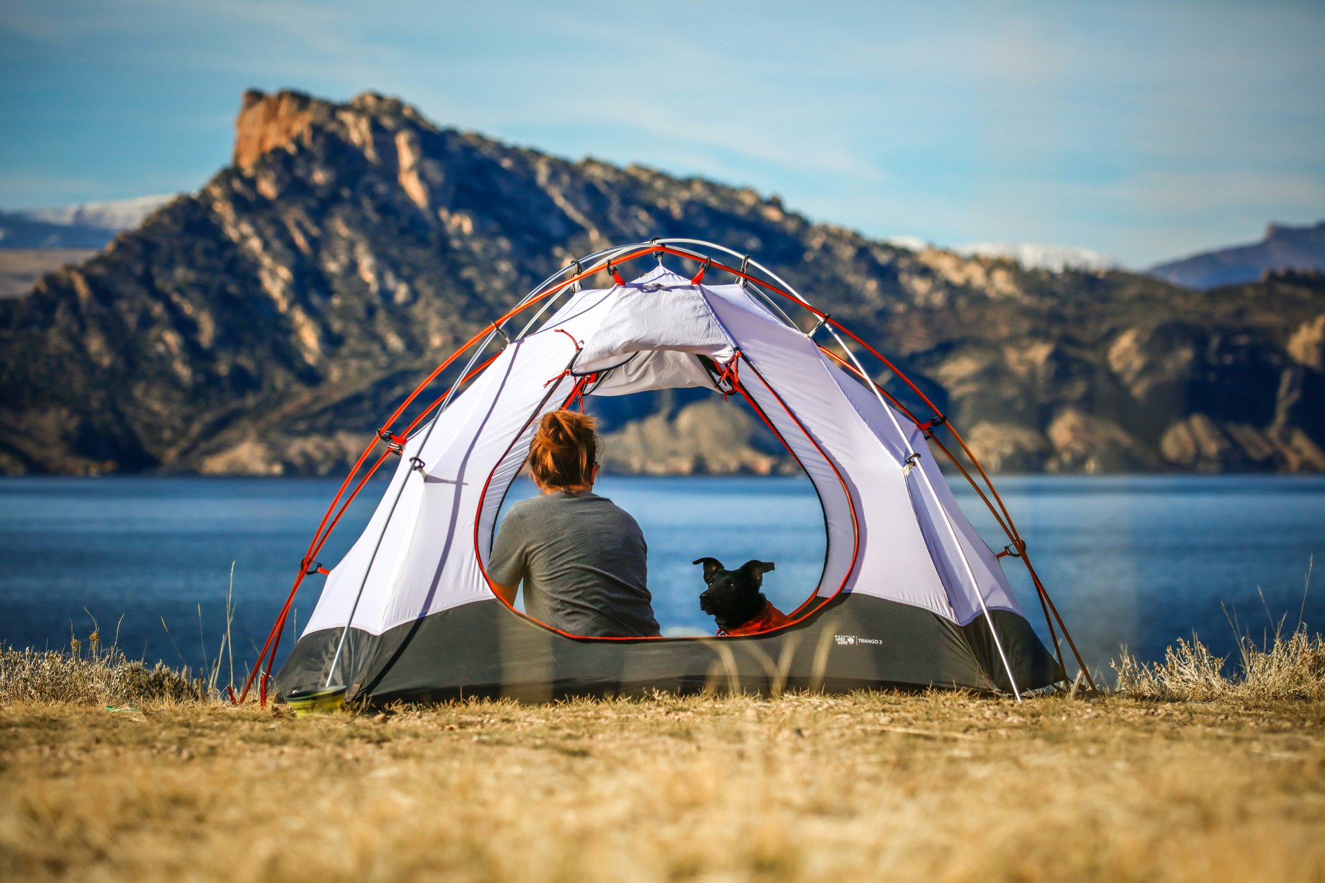 Perro asomándose por ventana de furgoneta camper en la naturaleza. Viajar con mascotas.