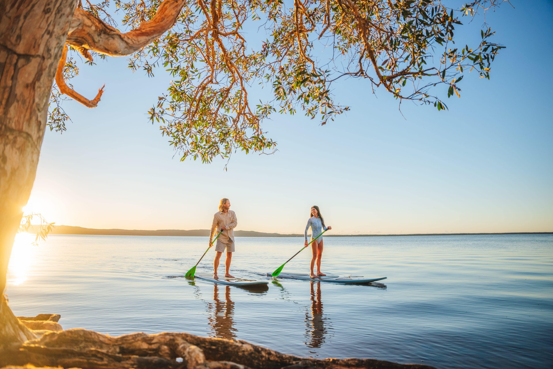 Two people paddleboarding on calm water at sunset, with a tree in the foreground and a clear sky in the background.