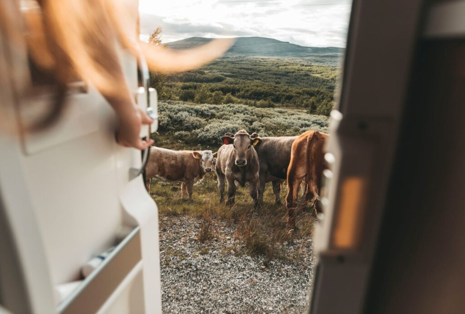 Die beliebtesten 9 Reiseziele aus der PaulCamper Community für 2024