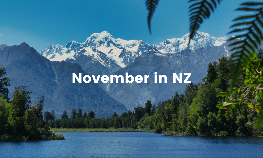 Campervan overlooking a turquoise lake in the South Island, perfect for a summer roadie.