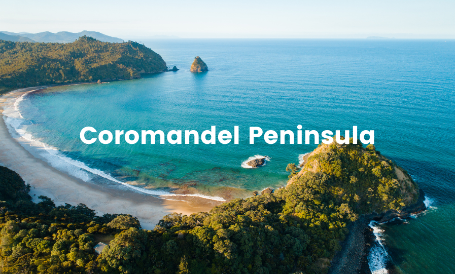 Campervan overlooking turquoise ocean and sandy beach on the Coromandel Peninsula.