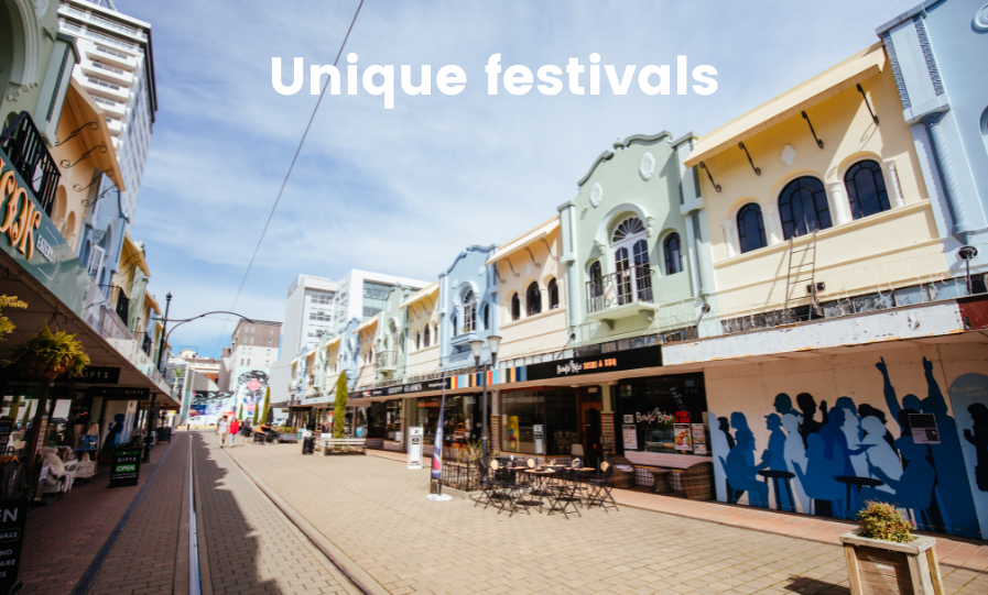 Campervan parked up at a kiwi music festival, good vibes all round.