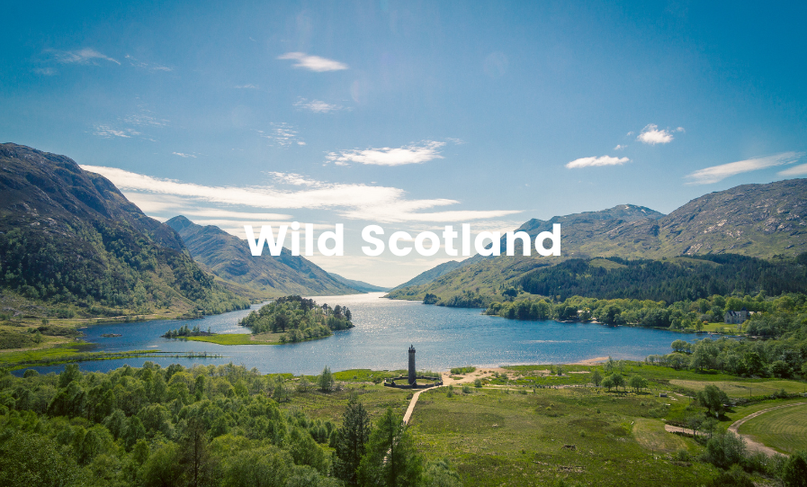 Motorhome wild camping in the Scottish Highlands, with scenic loch and mountains backdrop.