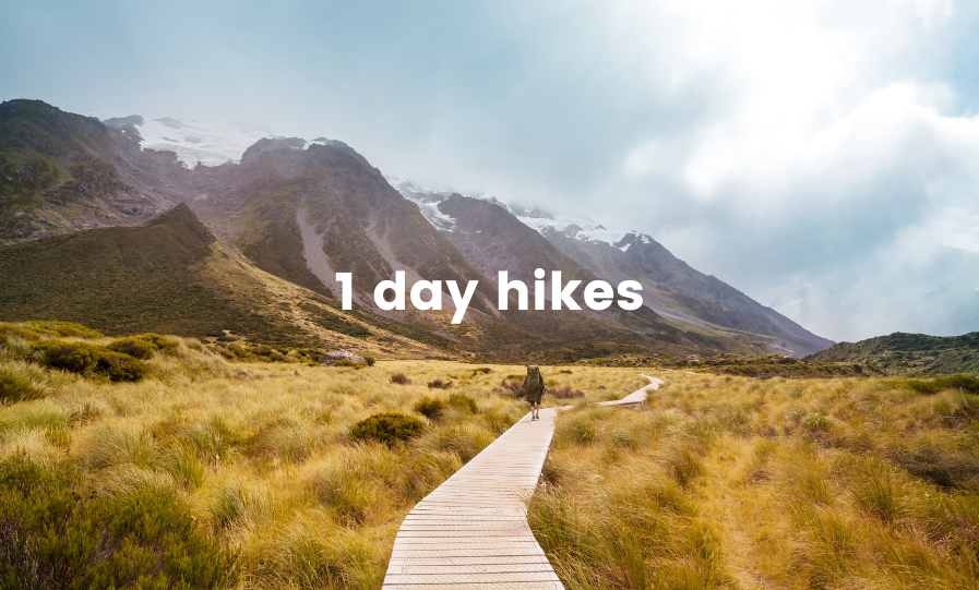 Bush walk in Aotearoa. Trampers on a track looking out to a lush green valley.