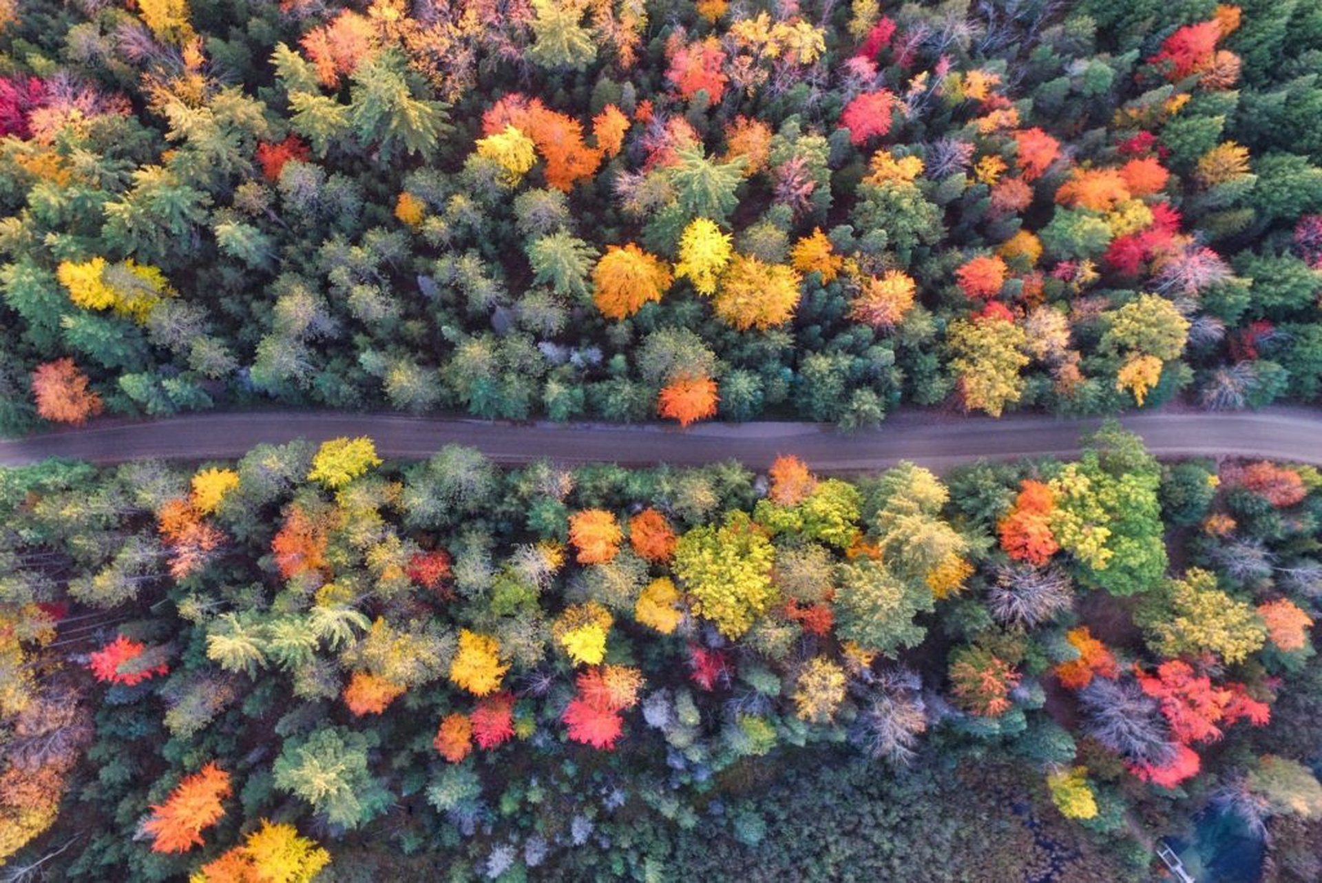 Know-how: Urlaub mit dem Camper im Herbst
