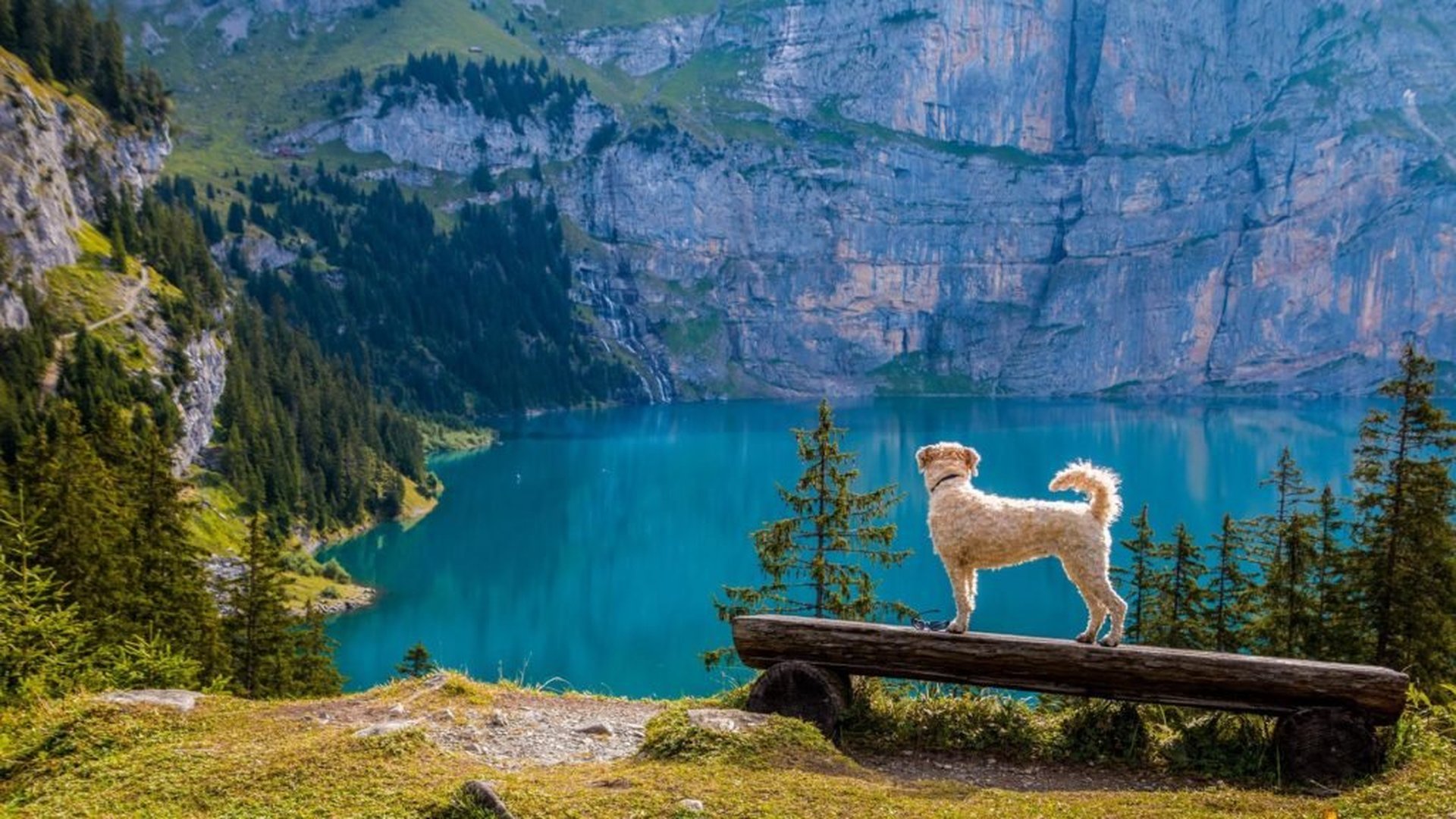 Die besten Campingplätze in der Schweiz am See