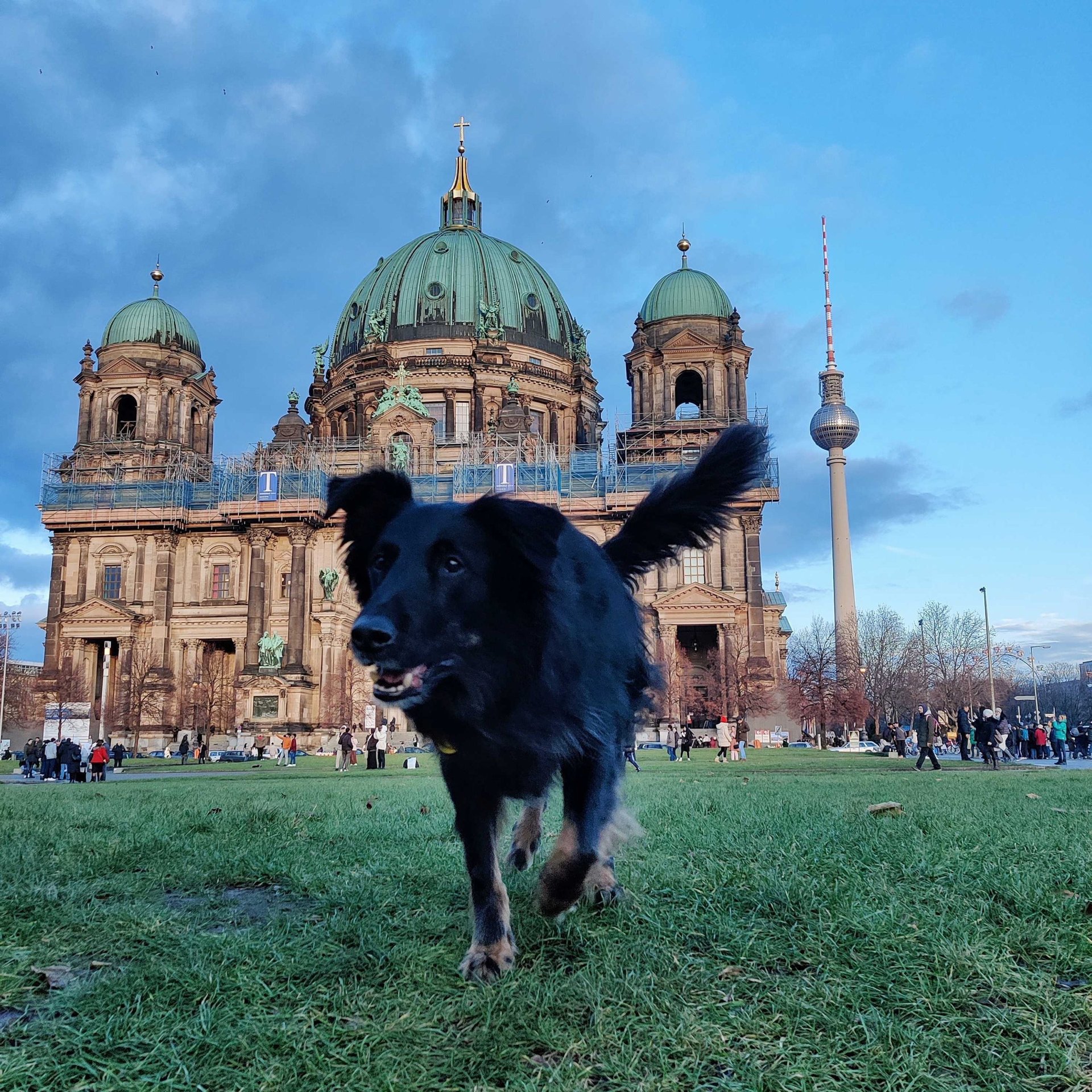 Urlaub mit Hund in Deutschland