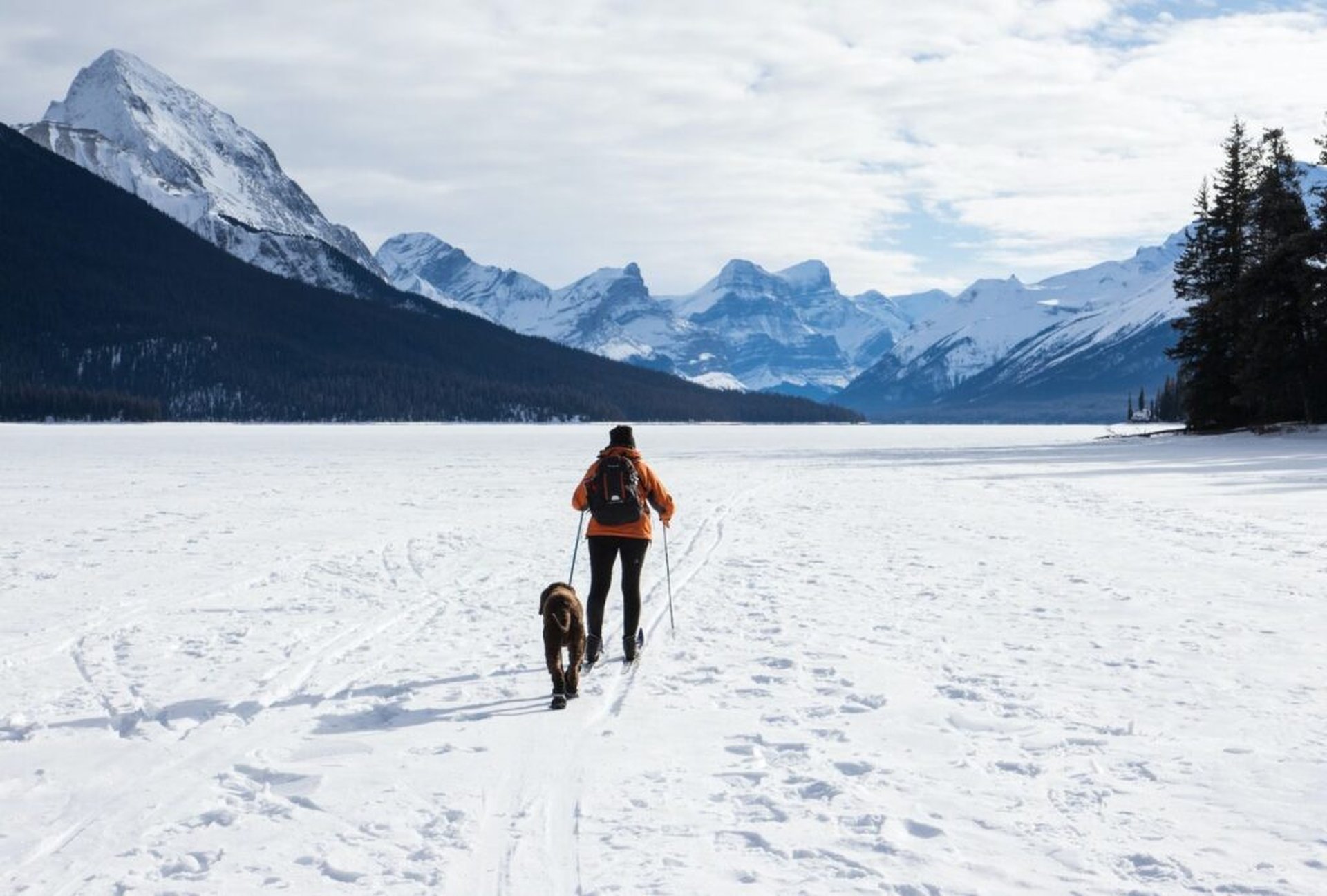 Winterurlaub mit Hund – Reiseziele, Campingplätze und Hundeloipen