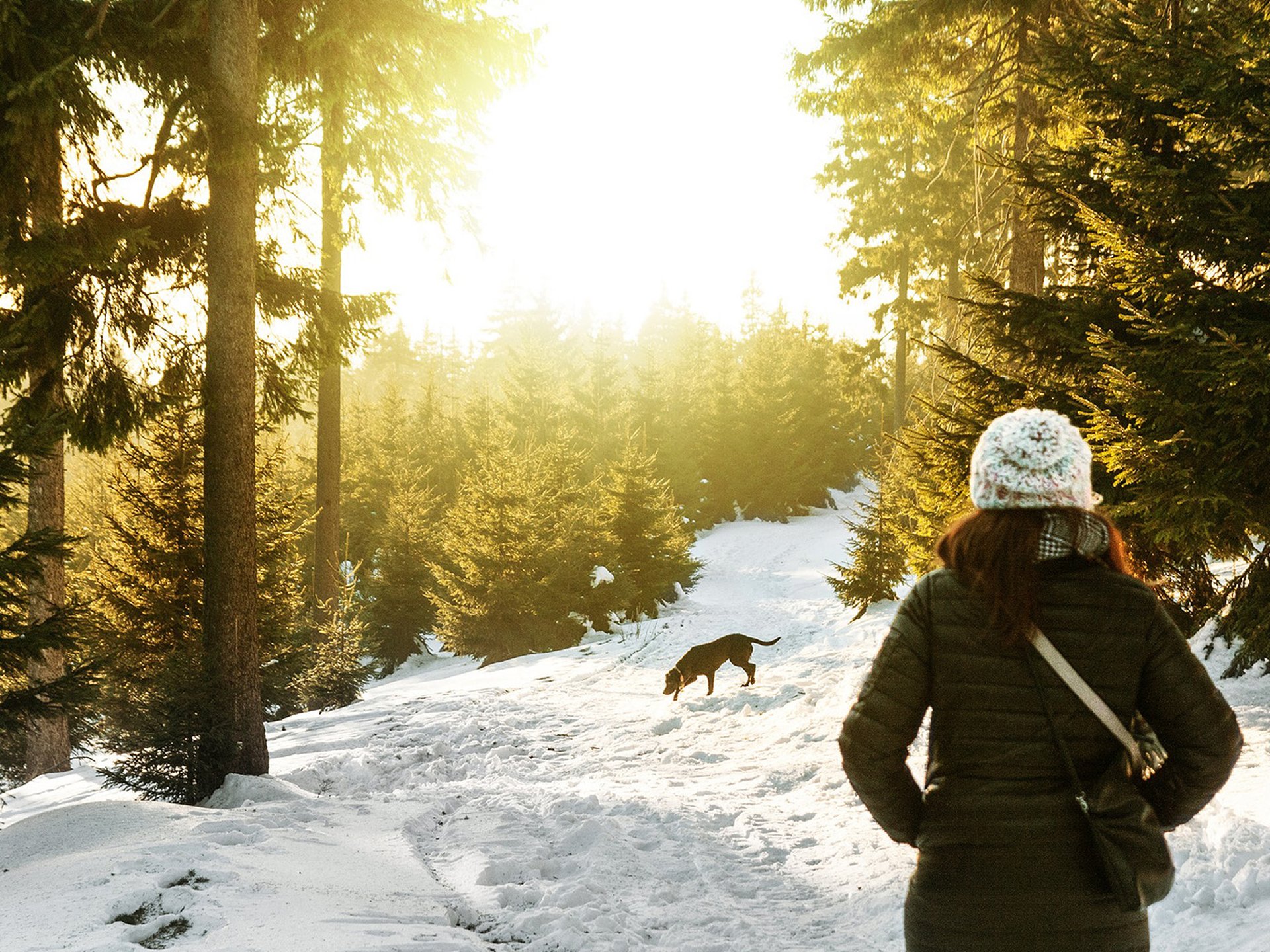 Wintercamping mit Hund Auslauf Wald