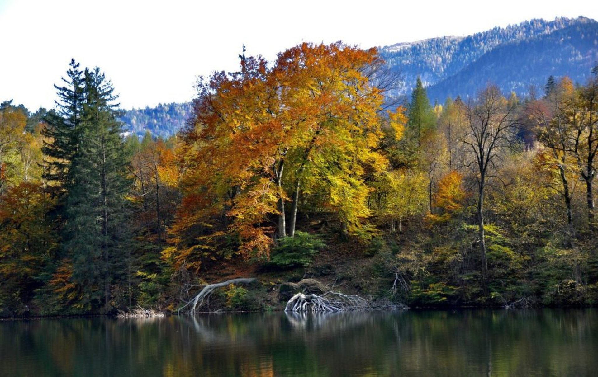 Wohin mit dem Wohnmobil zum Wandern im Herbst in Deutschland?